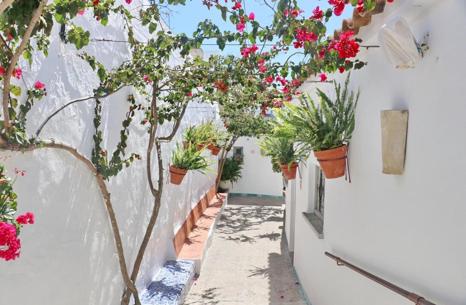 Complejo La Chanca, Hab 15 Appartement *